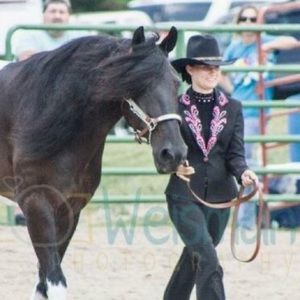 Custom Showmanship Jacket